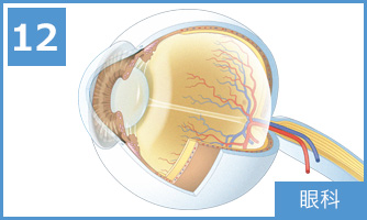 12 眼科
