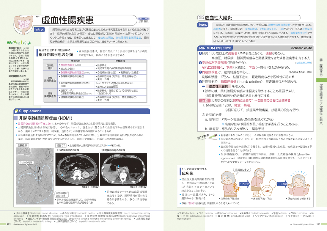 数量限定アウトレット最安価格 病気がみえる vol.1