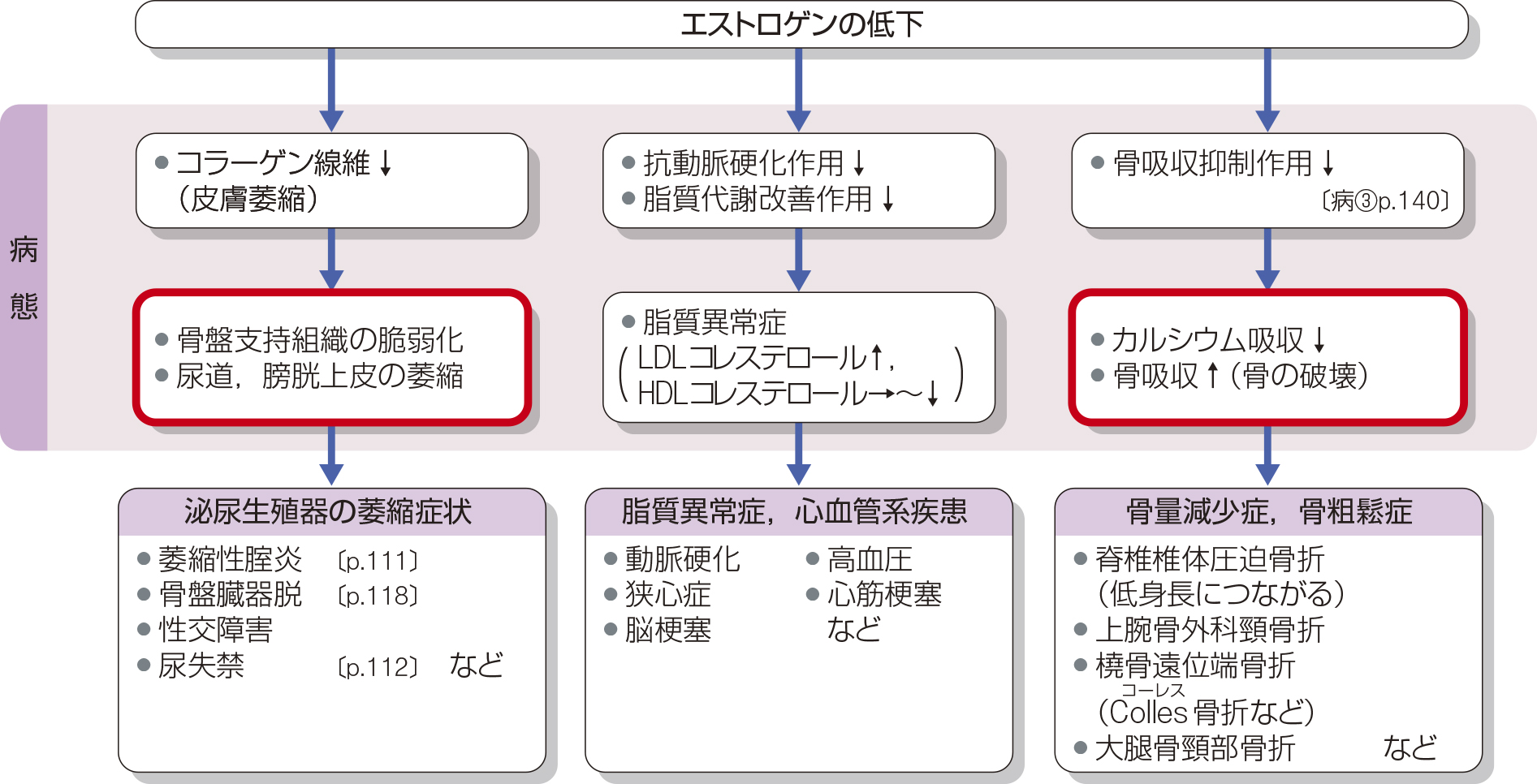 病気がみえるの1～11 ＋ 公衆衛生がみえる - 健康/医学