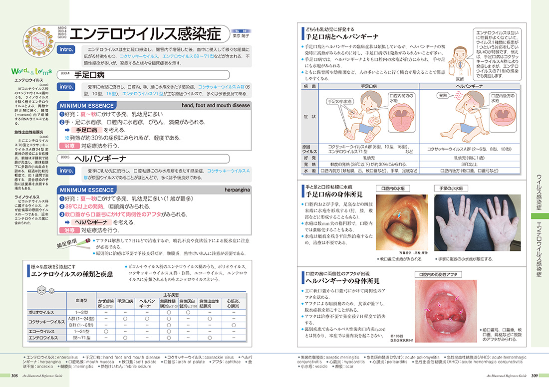 病気がみえる vol.6 免疫・膠原病・感染症