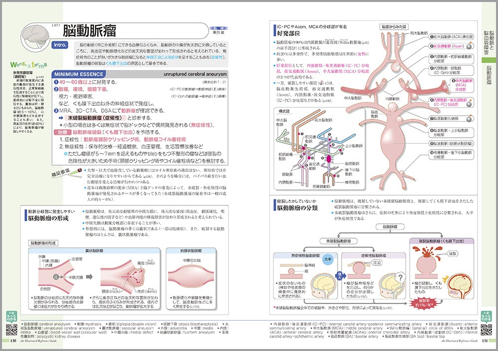 病気がみえる - チーム医療を担う医療人共通のテキスト