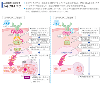 病気がみえる Vol 5 血液 チーム医療を担う医療人共通のテキスト 病気がみえる 公式サイト