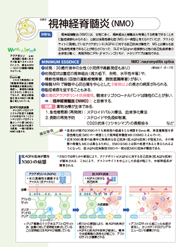 病気がみえる - チーム医療を担う医療人共通のテキスト