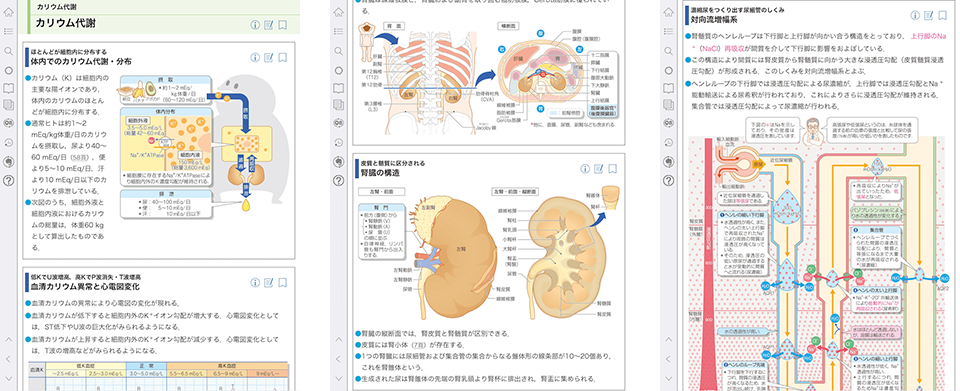 病気がみえる Vol 8 腎 泌尿器 チーム医療を担う医療人共通のテキスト 病気がみえる 公式サイト