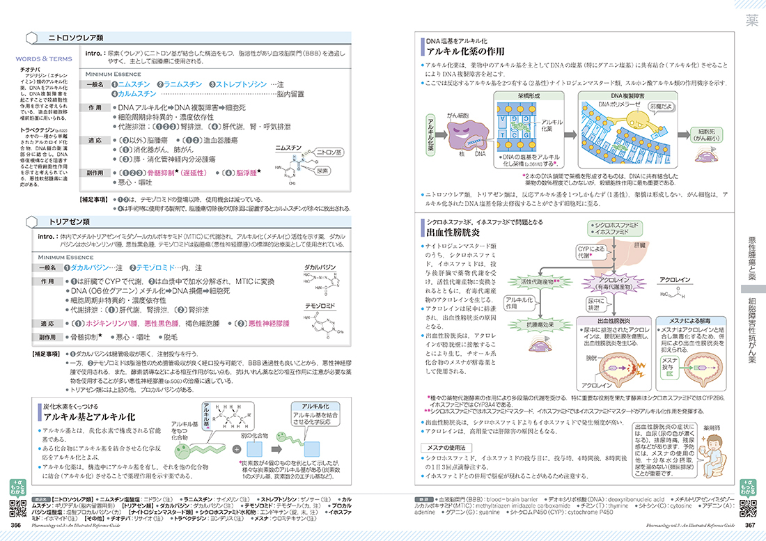 薬がみえる vol.3