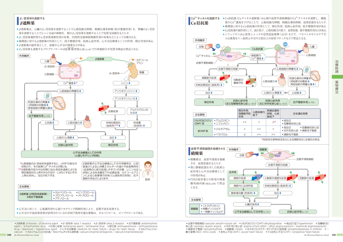 病気がみえる - チーム医療を担う医療人共通のテキスト