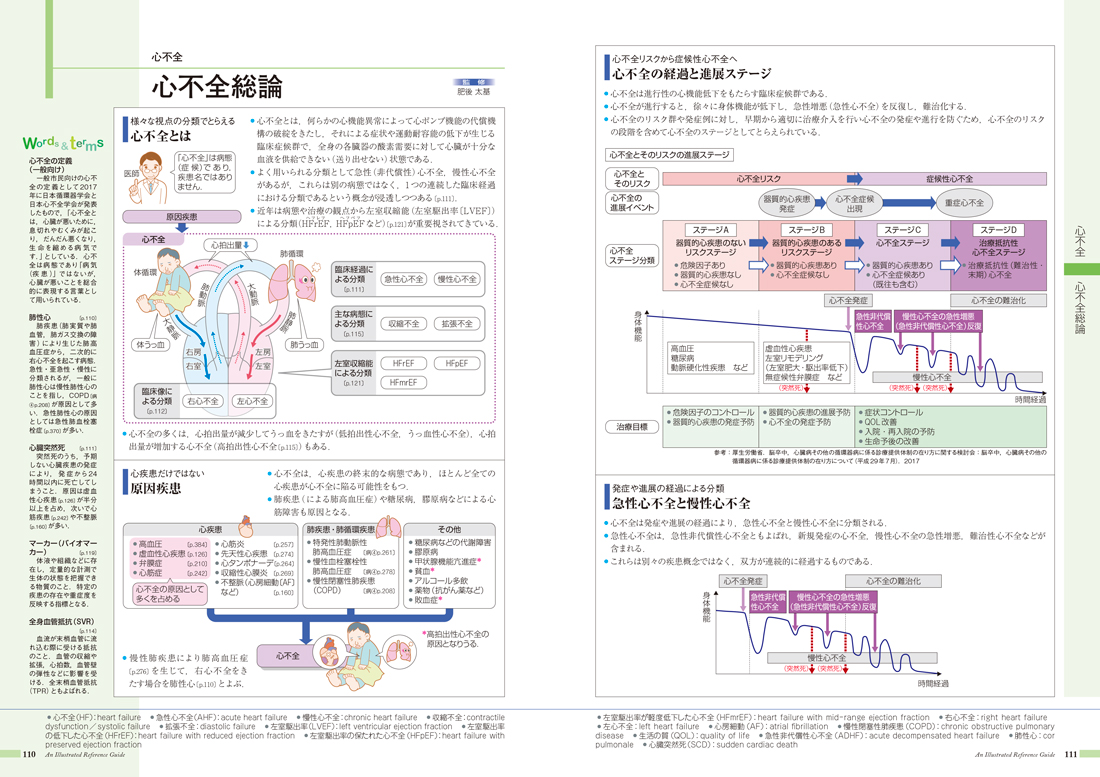 病気がみえる - チーム医療を担う医療人共通のテキスト