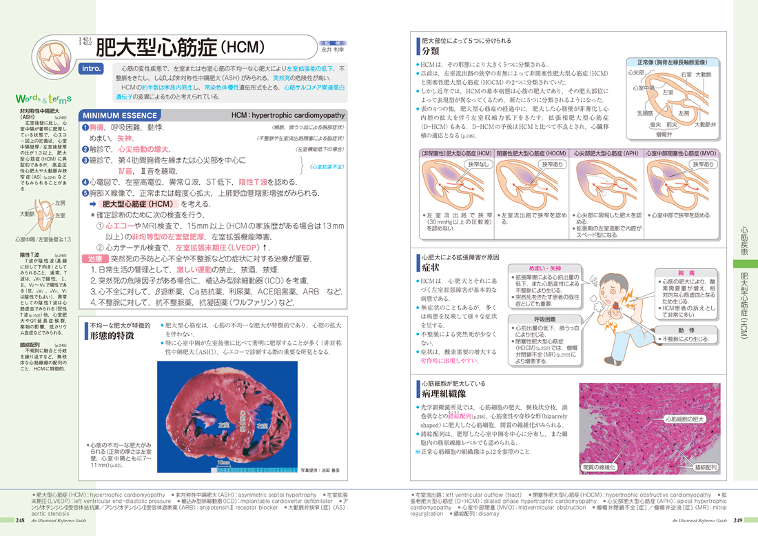 病気がみえる - チーム医療を担う医療人共通のテキスト