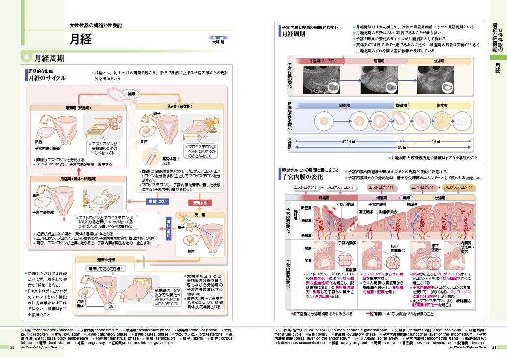 病気がみえる vol1〜9 新品あり