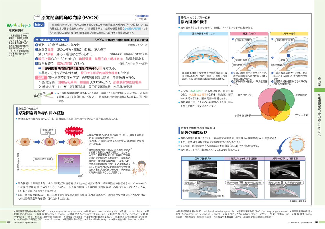 病気がみえる　12巻セット