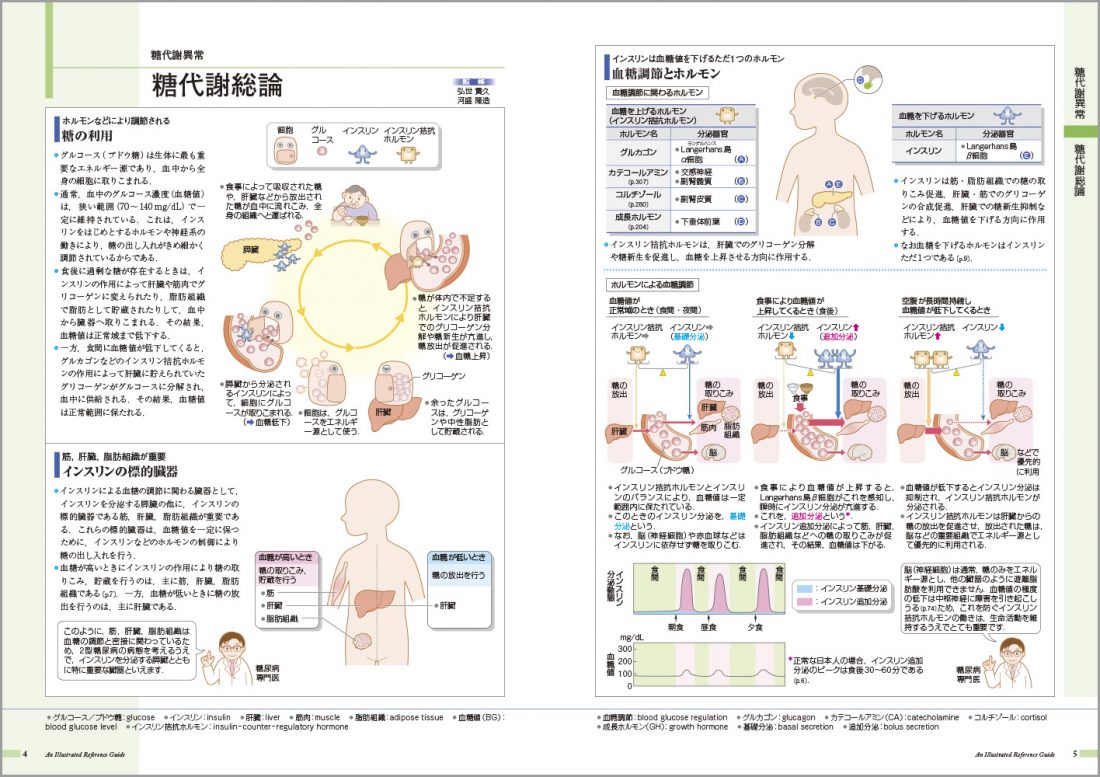 病気がみえる vol.3 糖尿病・代謝・内分泌