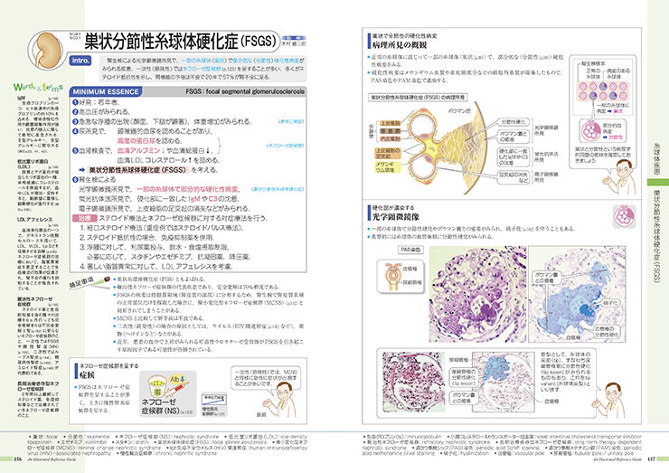 病気がみえる Vol 8 腎 泌尿器 チーム医療を担う医療人共通のテキスト 病気がみえる 公式サイト