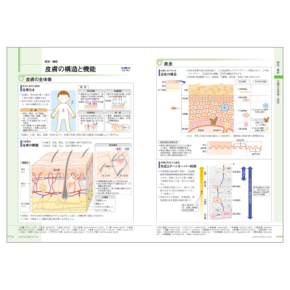 病気がみえる Vol.1-14 美品 - 参考書