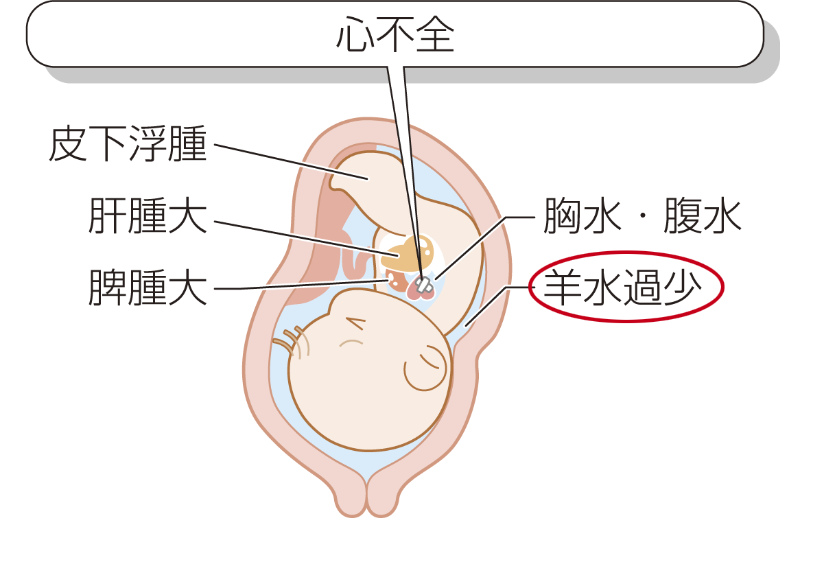 Vol 10 産科 チーム医療を担う医療人共通のテキスト 病気がみえる 公式サイト