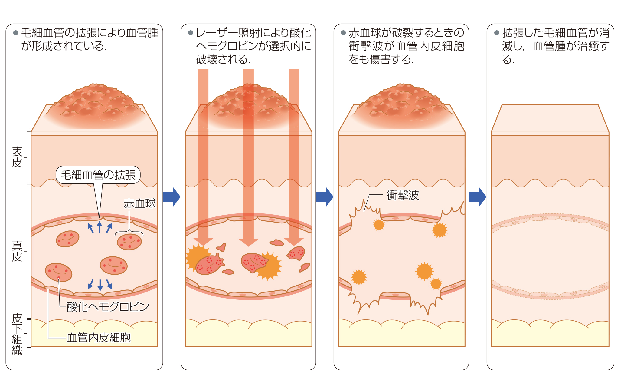 病気がみえる チーム医療を担う医療人共通のテキスト