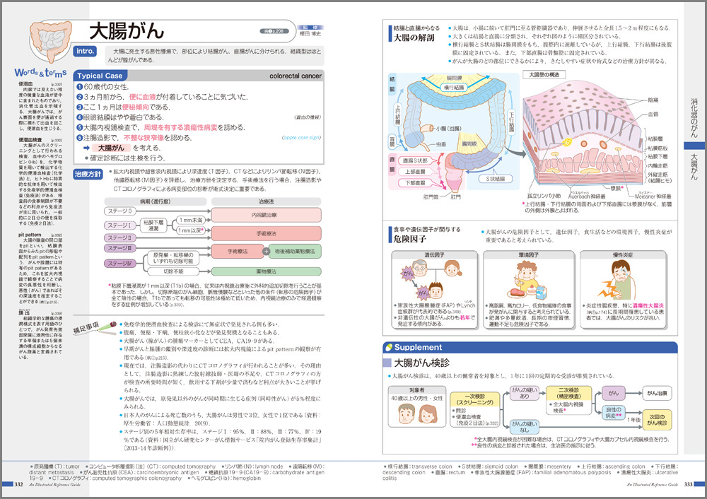 売り切りセール‼️CT パレット