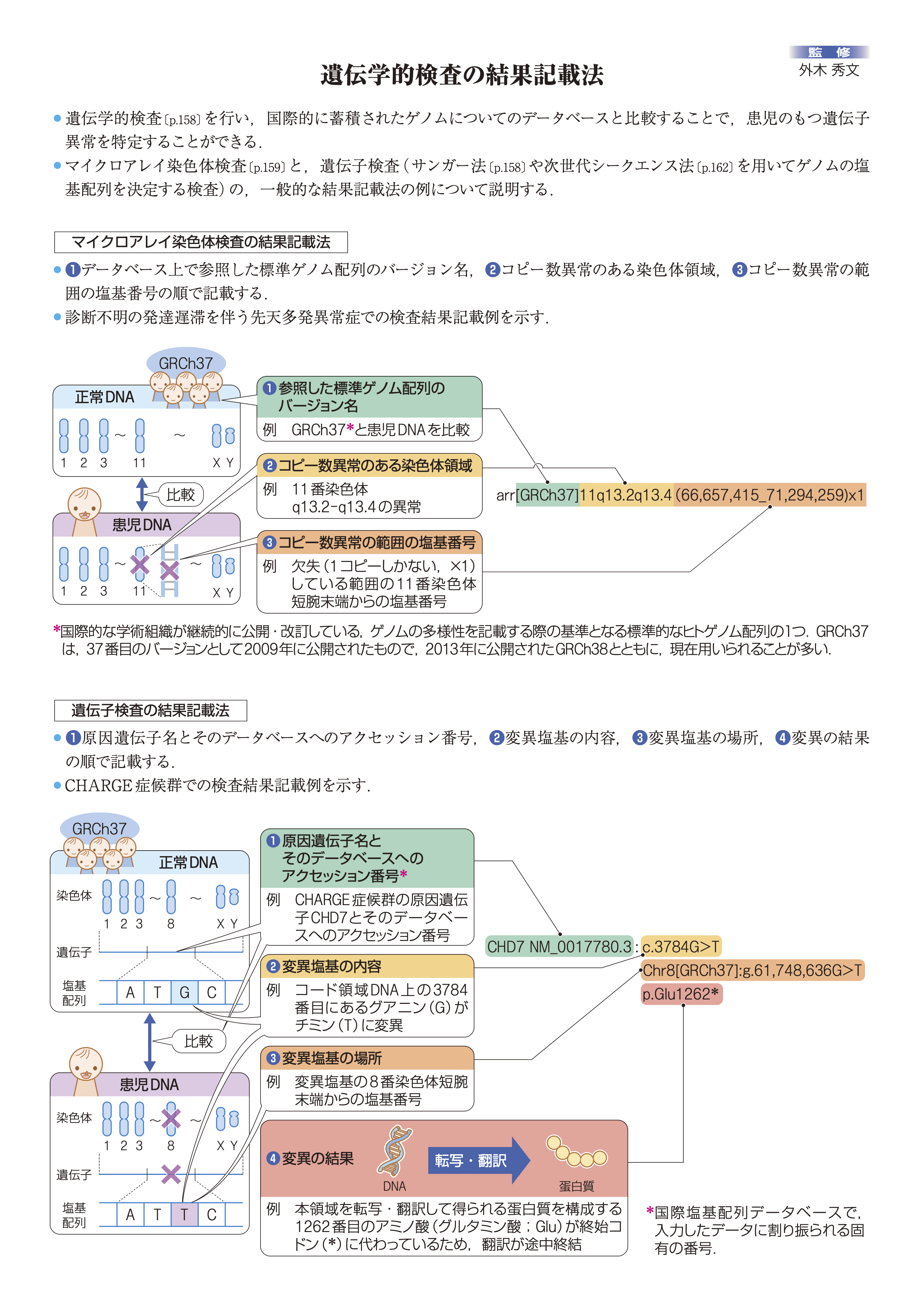 病気が見える　小児