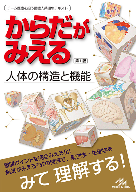 新刊『からだがみえる』発売！解剖学、生理学がこれ一冊で「みて、わかる」！