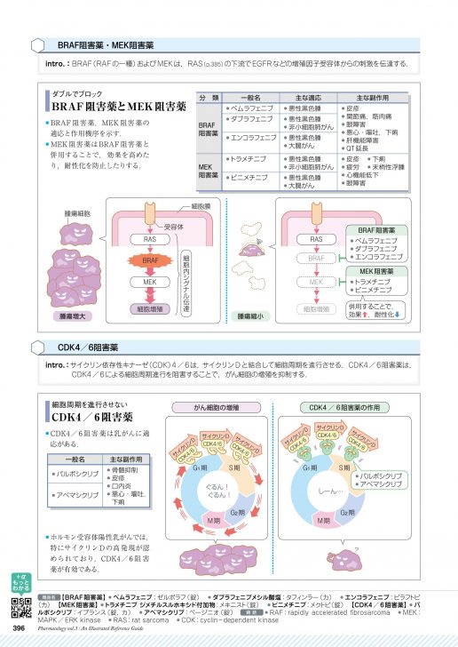 薬がみえる　vol.1,2,3健康/医学