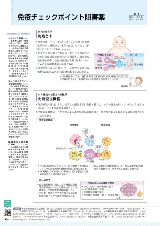 薬がみえる　vol.1,2,3健康/医学