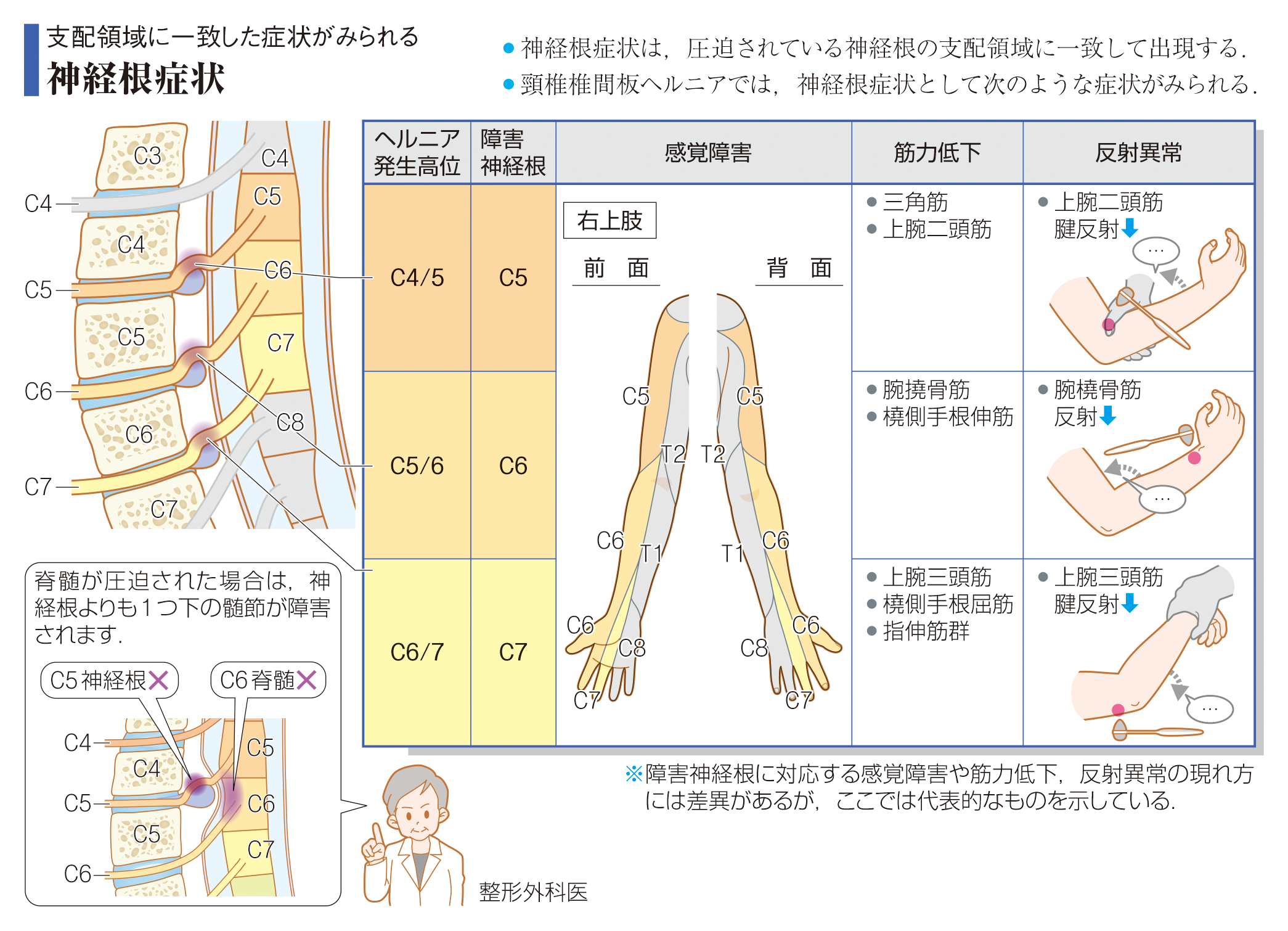 病気がみえる - チーム医療を担う医療人共通のテキスト