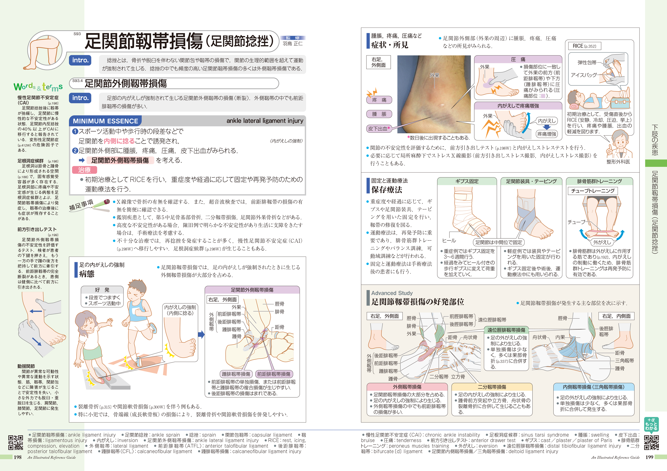 病気がみえる vol.1〜vol.10 - 健康/医学