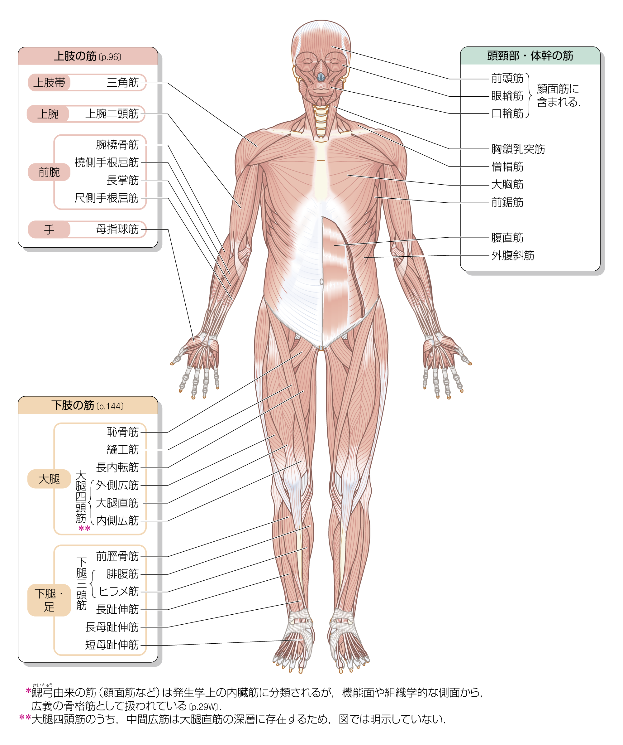 After image