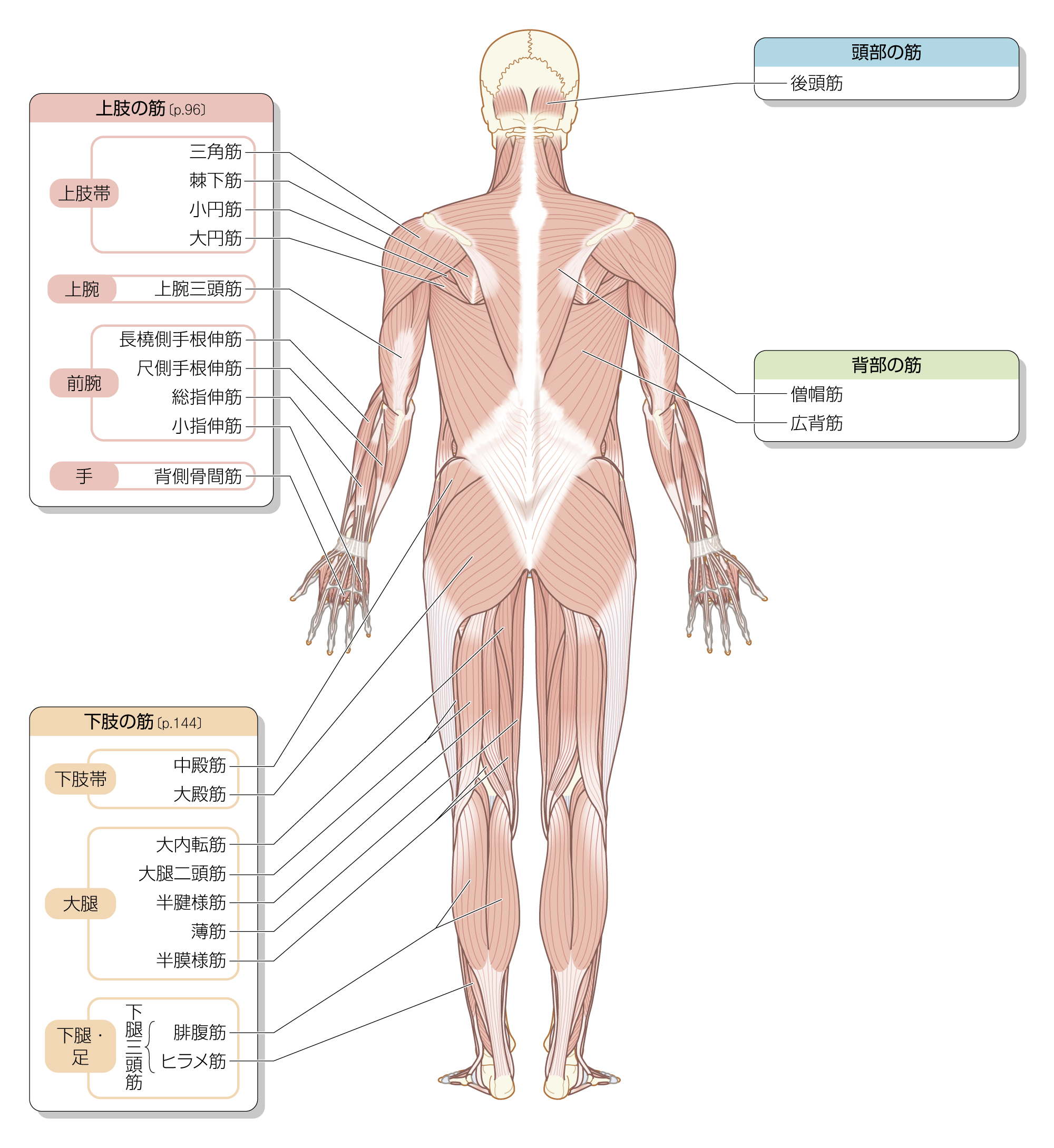 After image