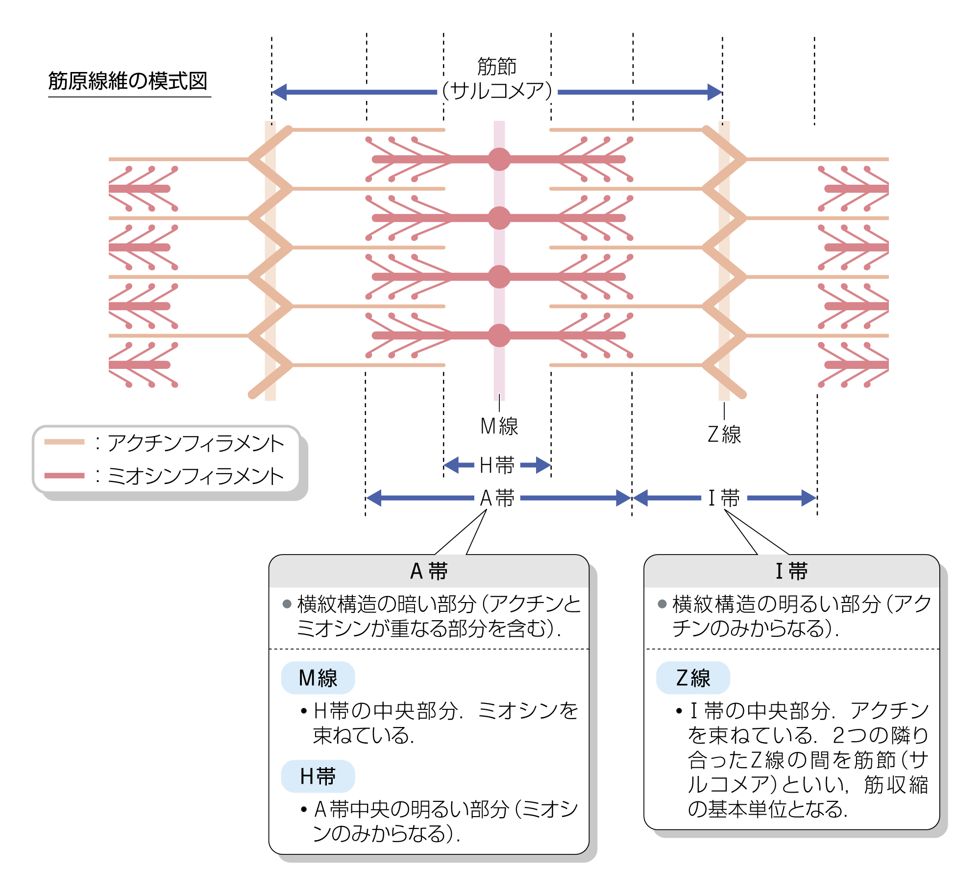 After image
