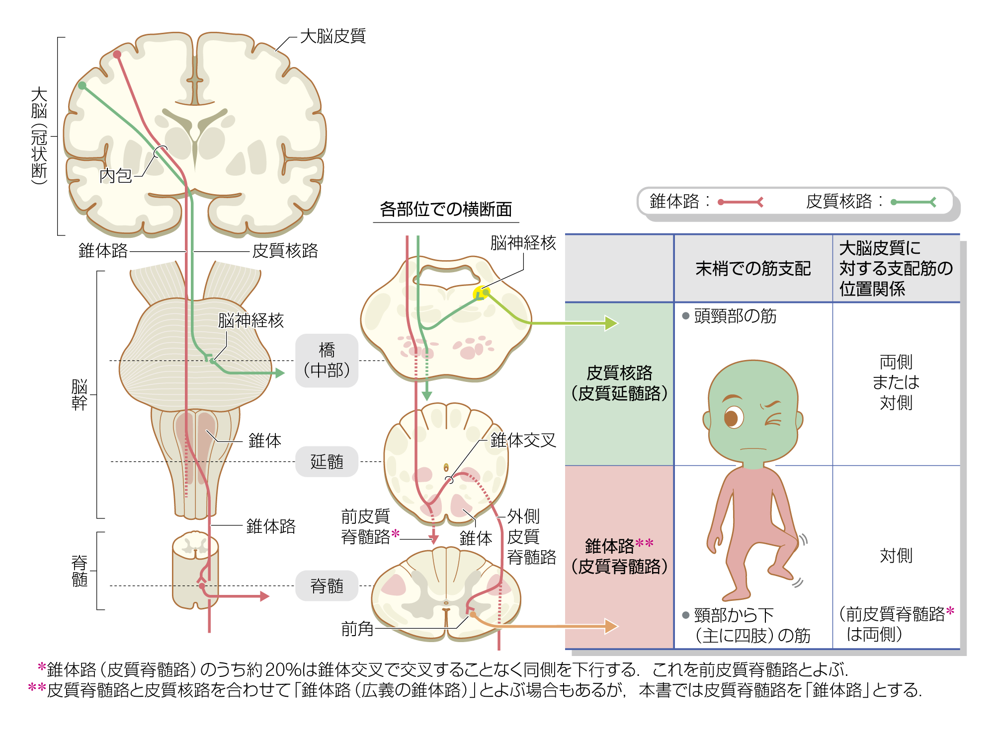 After image