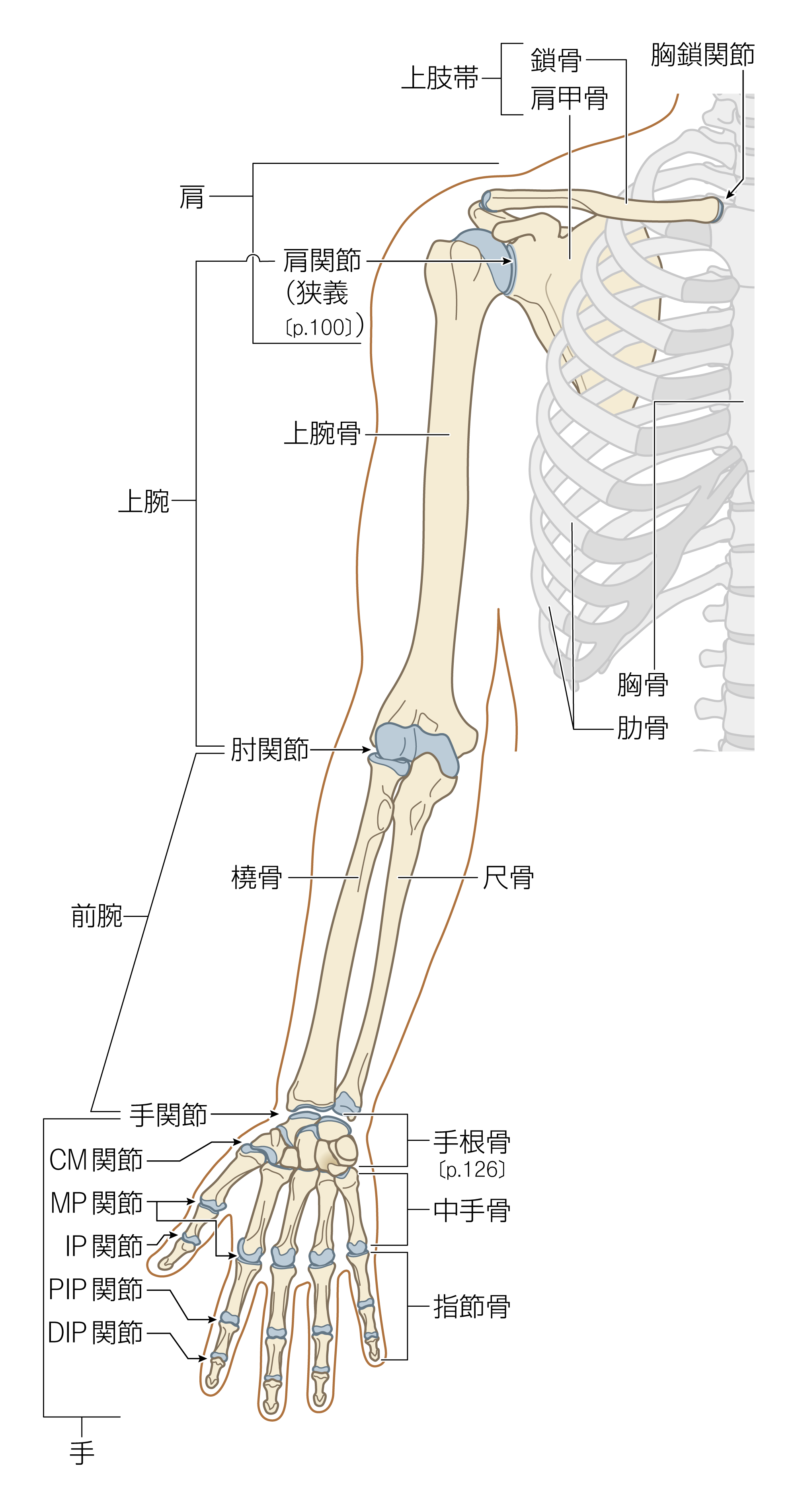 After image