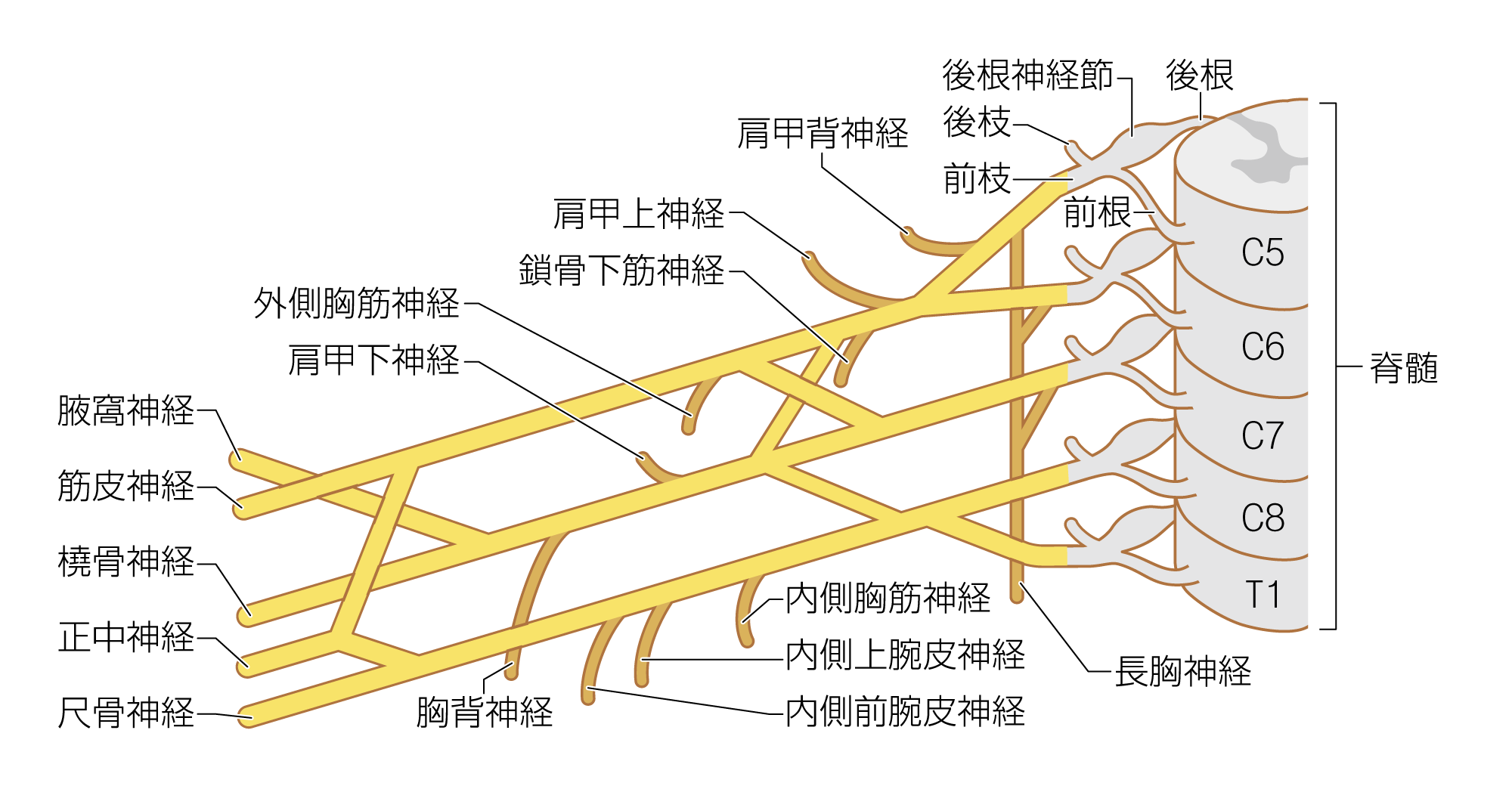 After image