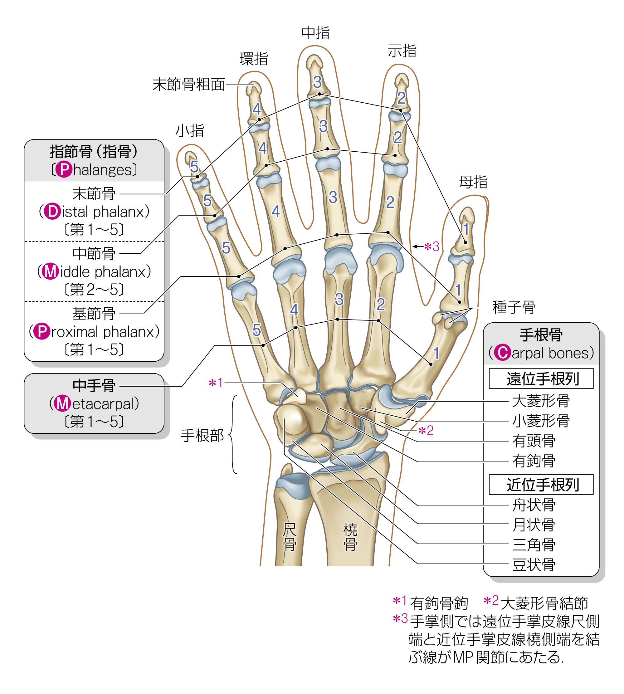 After image