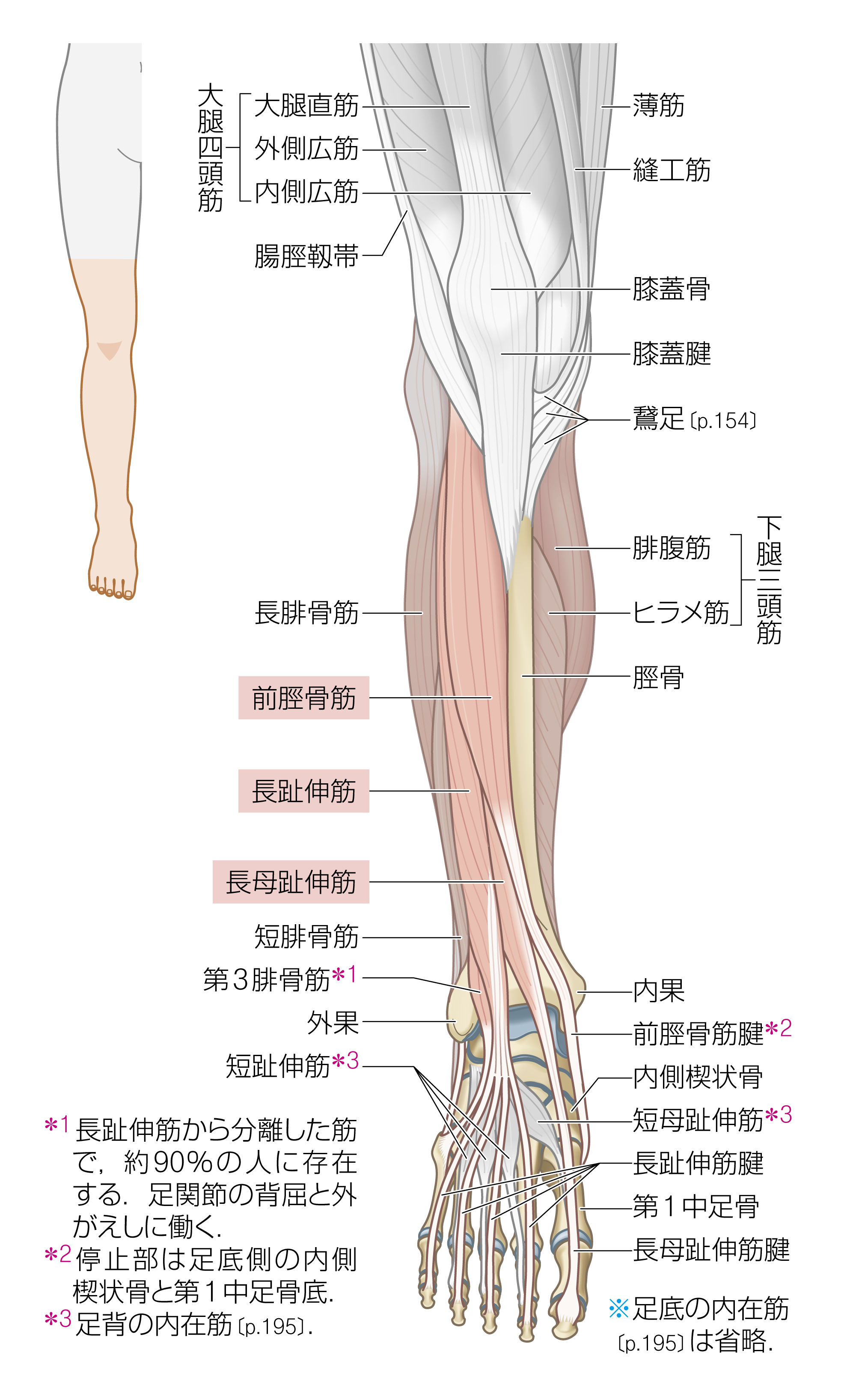 After image