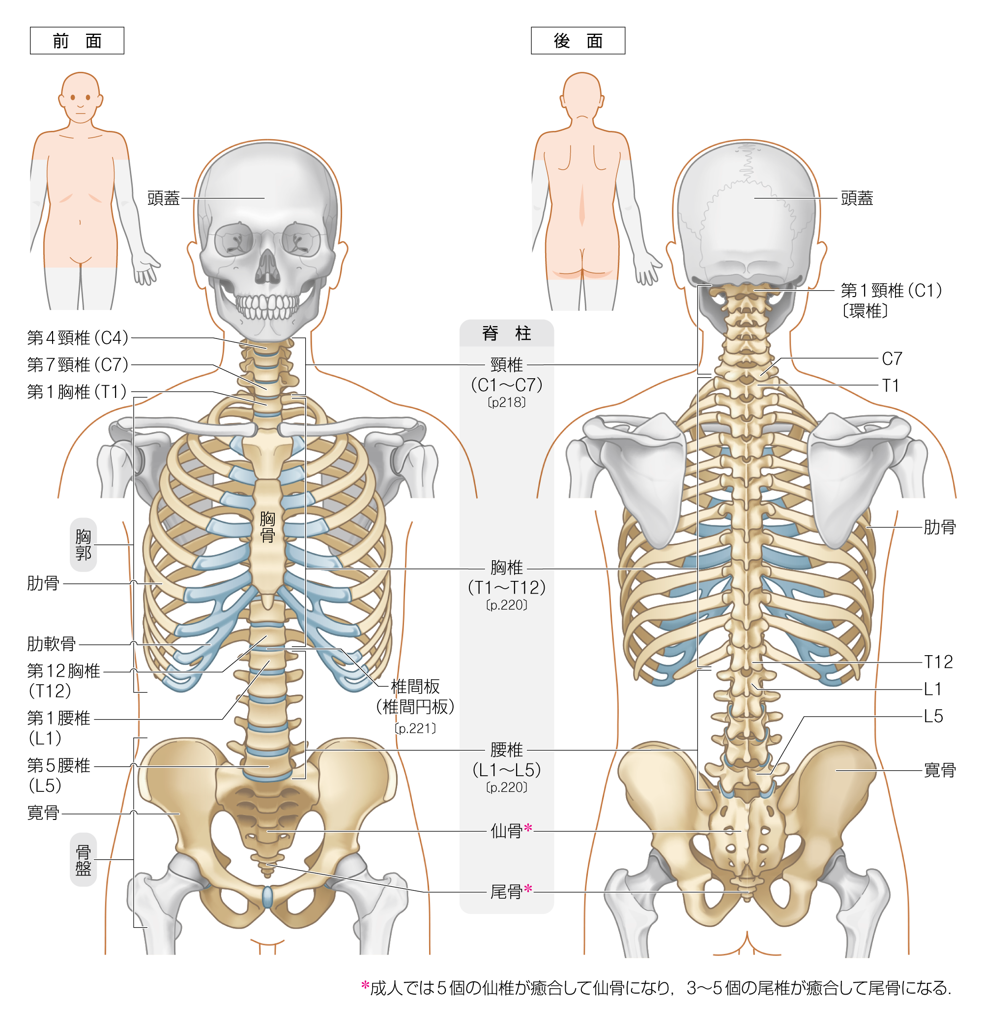 After image