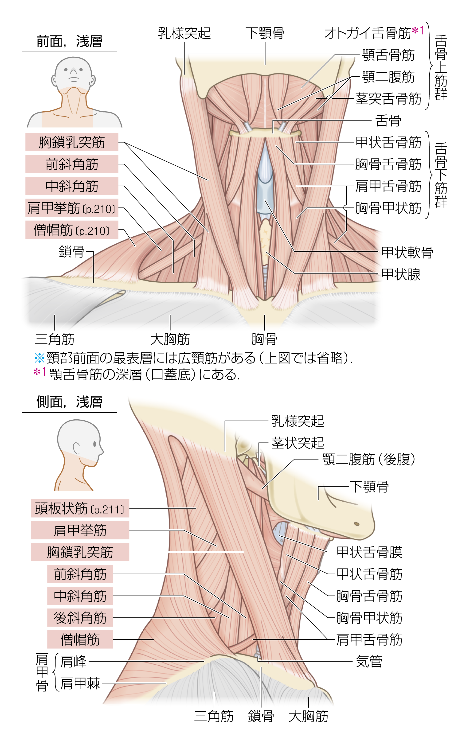 After image