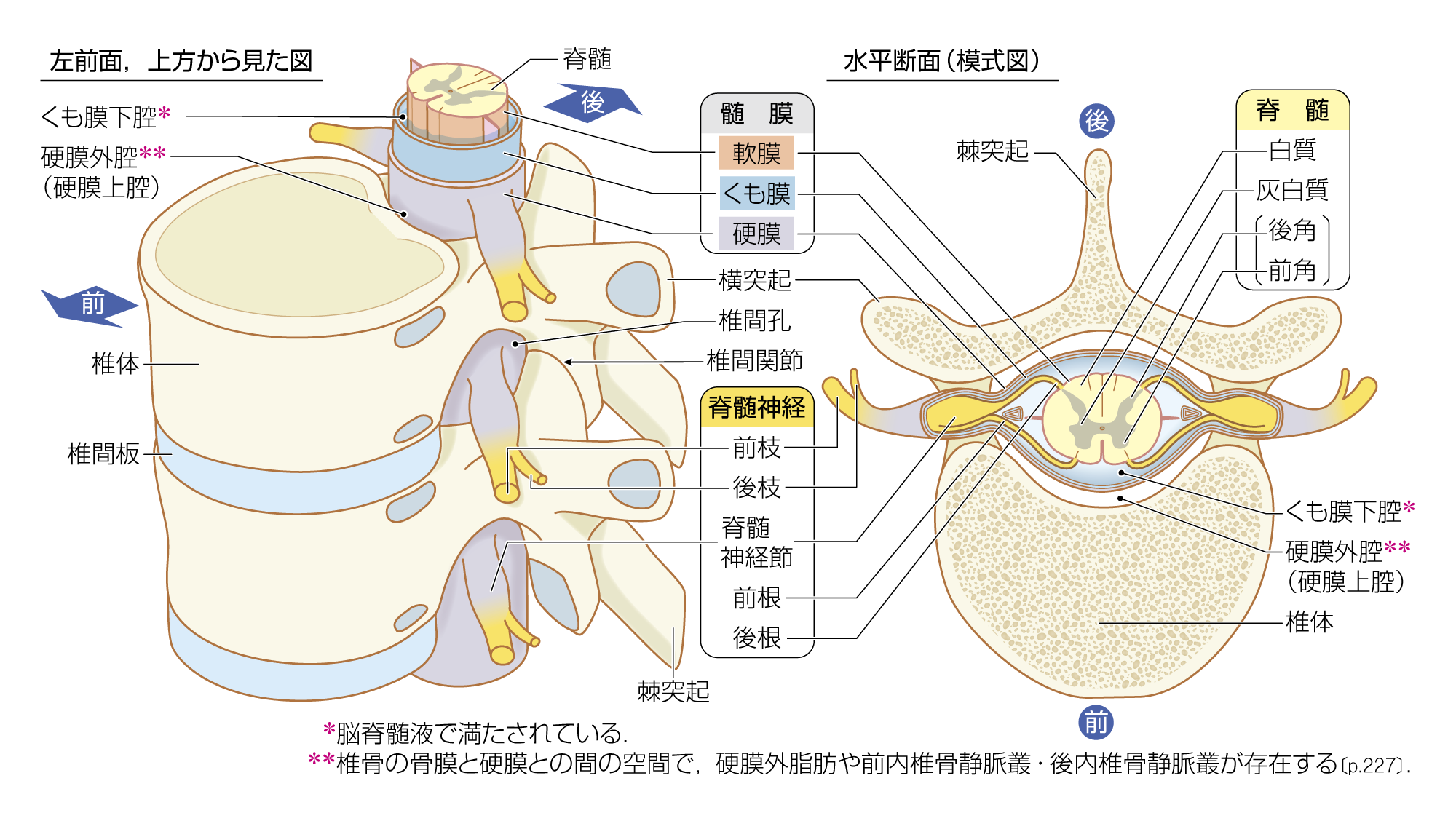 After image