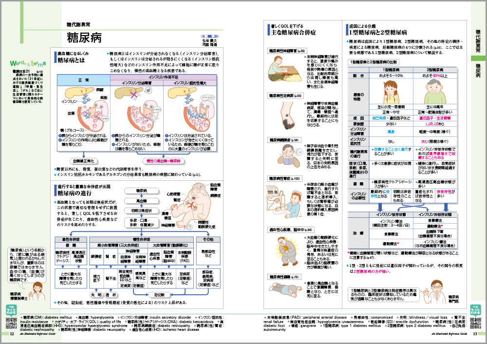 病気がみえる vol.3 糖尿病・代謝・内分泌